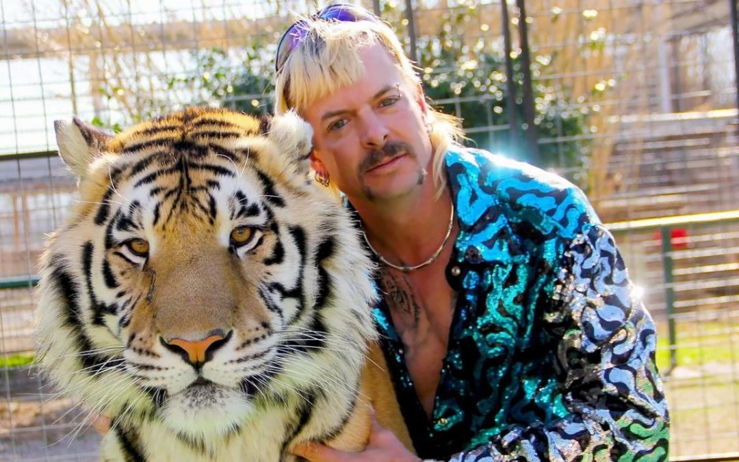 Wie „Making A Murderer“ im Zoo: „Großkatzen und ihre Raubtiere“ auf Netflix